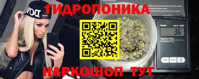 индика Славгород