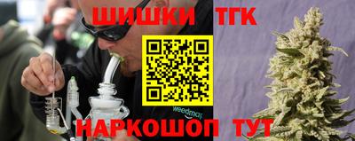 индика Славгород
