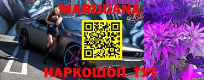 индика Славгород